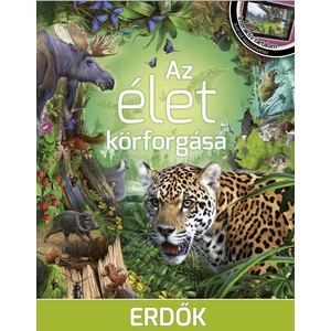 Az élet körforgása 1. - Erdők