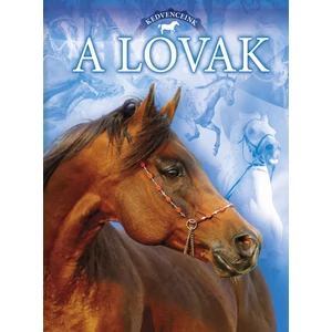 Kedvenceink a lovak
