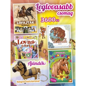 Leglovasabb csomag - Ajándék HangoLÓ kulcstartóval