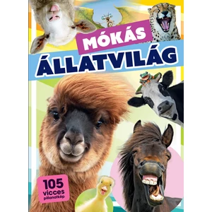 Mókás állatvilág – 105 vicces pillanatkép