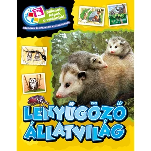 Lenyűgöző állatvilág