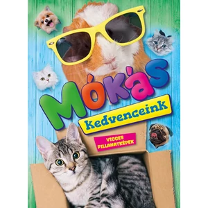 Mókás kedvenceink – vicces pillanatképek - 1db mókás állattal vagy squishivel