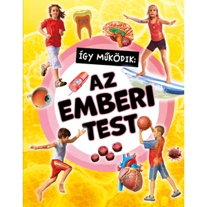 Így működik: Az emberi test