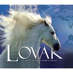 Lovak - A világ 100 lófajtájának eredete és jellemzői