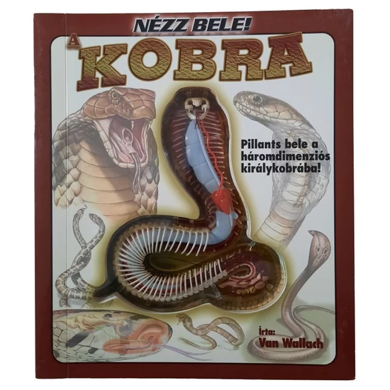 Nézz bele! - A kobra - ismeretterjesztő könyv és modell