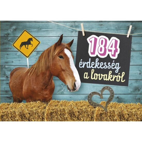 184 érdekesség a lovakról