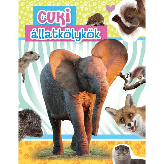 Cuki állatkölykök