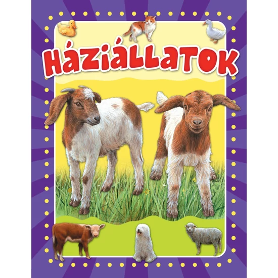 Háziállatok