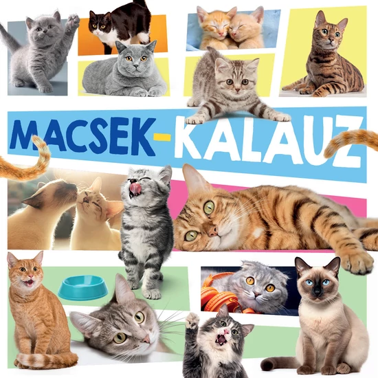 Macsek-kalauz - Macskafigurával