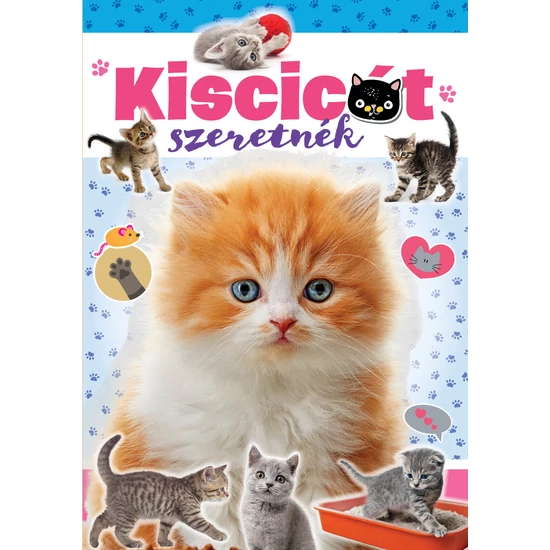 Kiscicát szeretnék - Macskás tornazsákkal