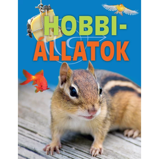 Hobbiállatok
