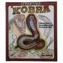 Kép 1/6 - Nézz bele! - A kobra - ismeretterjesztő könyv és modell