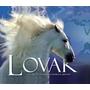 Kép 1/6 - Lovak - A világ 100 lófajtájának eredete és jellemzői